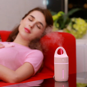 Mini USB Humidifier