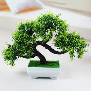 Pine Home Decoration