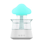 Rain Humidifier