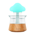 Rain Humidifier