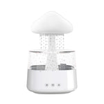 Rain Humidifier