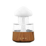 Rain Humidifier